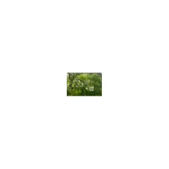 AX91-404 Breathe360 pollenbeschermingsfilter