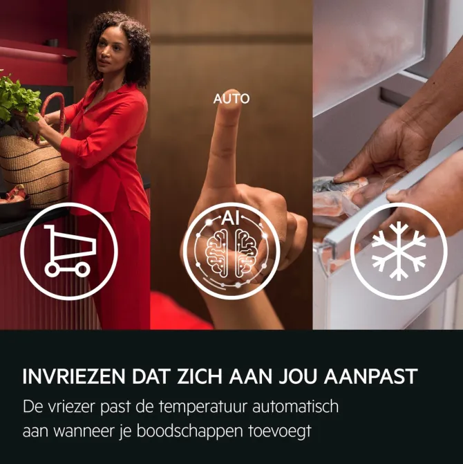 Inbouw vriezer NoFrost 178 cm